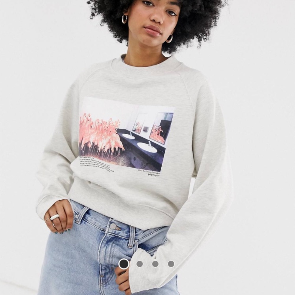Weekday graphic Flamingo print sweatshirt